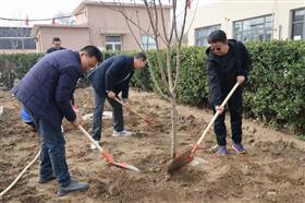 标题:中电建冀交高投开云(中国)积极开展植树节活动<br/>说明:<br/>日期:2025/3/17 9:10:56